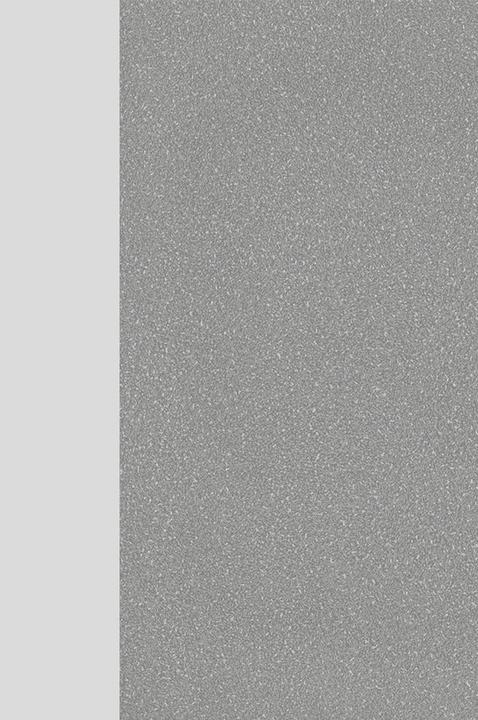 Produktbild Germania JET höhenverstellbarer Schreibtisch lichtgrau rechteckig, T-Fuss-Gestell silber 120,0 x 80,0 (120 x 72 cm)