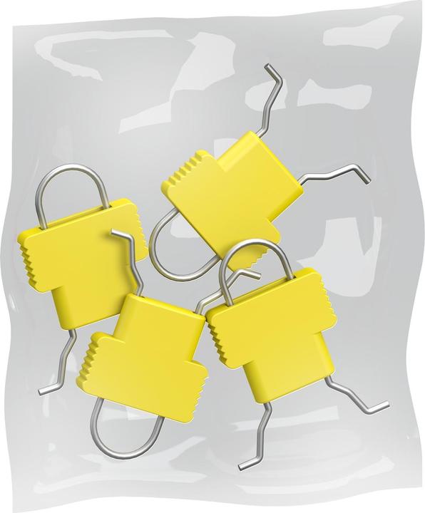 Actual product image Schneider Electric Locking element