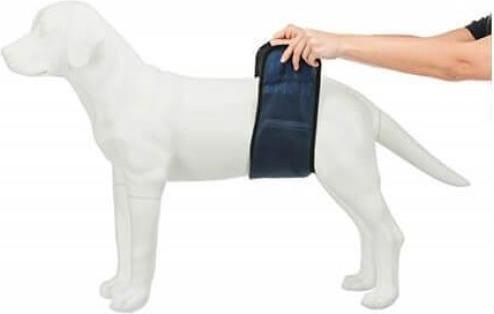 Produktbild Trixie Rüdenbinde M 45-55cm (M, Hundeweste)