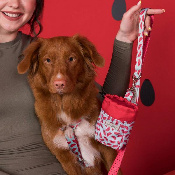 Actual product image amiplay Necklace Be Happy Cherry S, 15mm/20-35cm (S, Dog, General)