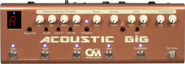 Actual product image Carl Martin Acoustic GiG - Multi Effect Acoustic Guitar