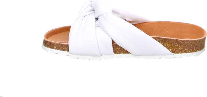 Actual product image Verbenas Rainbow Blanco (41)