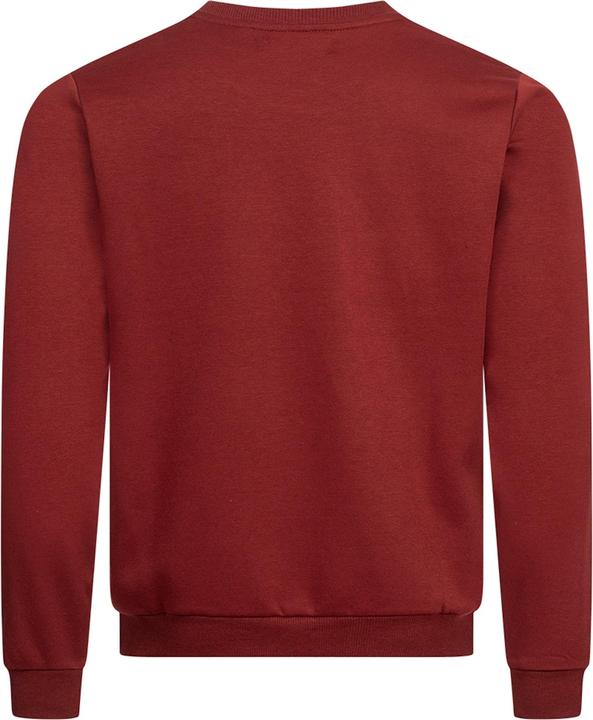 Actual product image Pierre Cardin Sweatshirt Pullover (L)