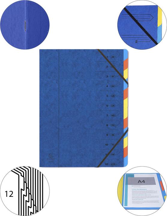 Actual product image Exacompta Folder (A4, 1x)