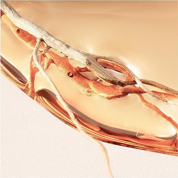 Produktbild Hugo Boss Intense Eau de Parfum (Eau de Parfum, 30 ml)