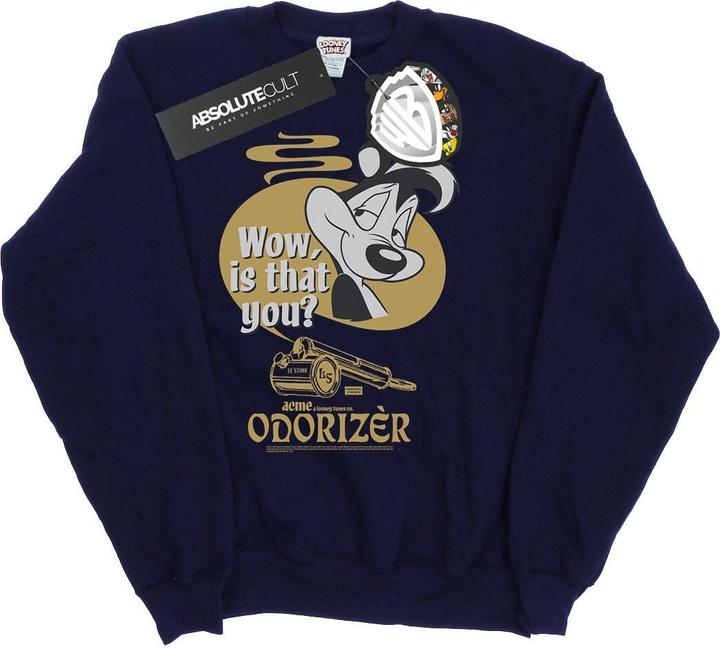 Image du produit Looney Tunes - Sweat ODORIZER - Homme (M)