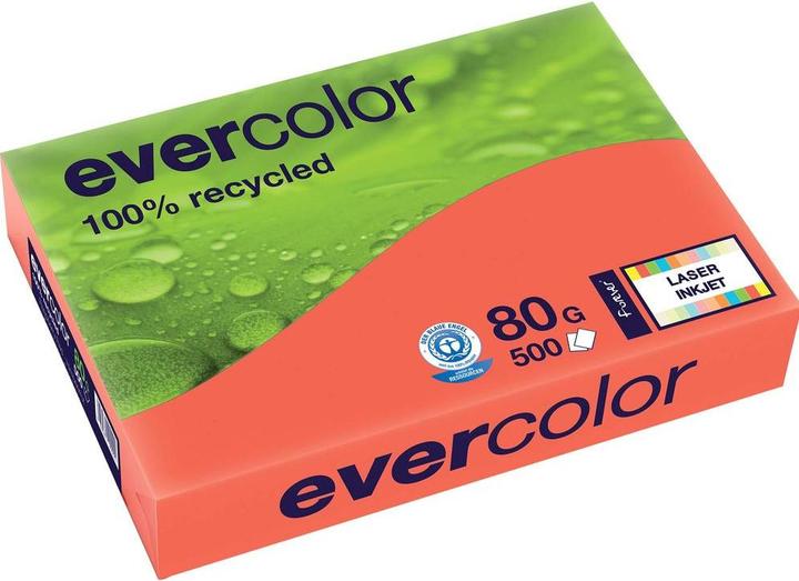 Image du produit Clairefontaine Papier recyclé Evercolor saumon DIN A4 80 g/qm 500 feuilles (A4, 500 feuilles, 80 g/m²)
