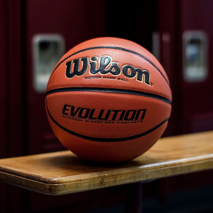 Image du produit Wilson Evolution Game Ball