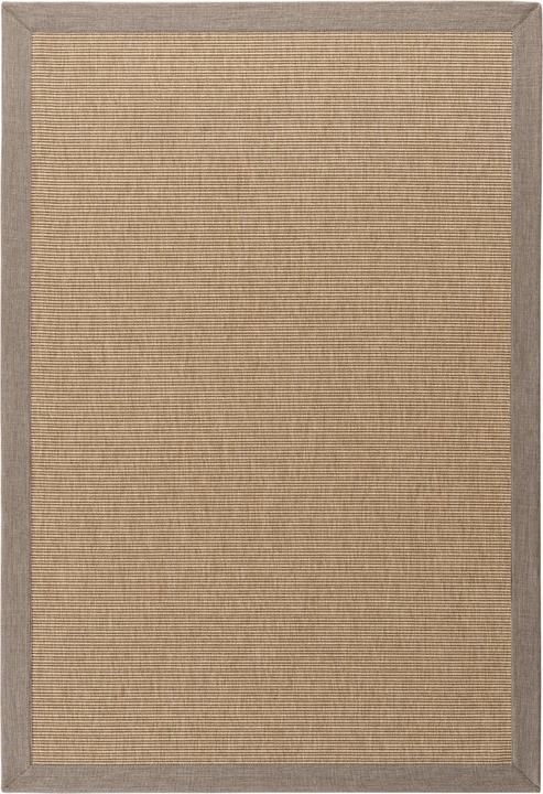 Conceptum Hypnose Berlin