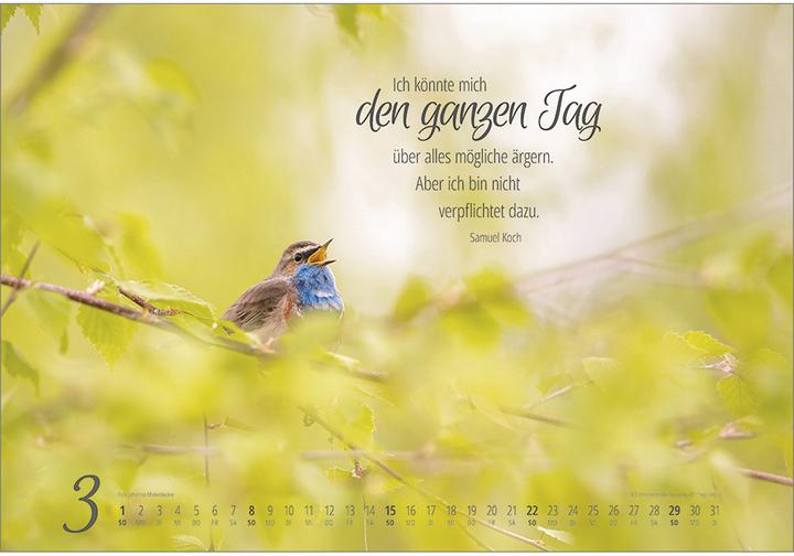 Produktbild Real Wildlife 2026 (49 x 34 cm)