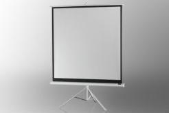 Actual product image Celexon Economy tripod screen - Projection screen with tripod - 310 cm (122") (121.65", 1:1)