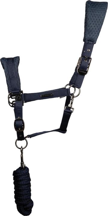 Actual product image Coldstream Middleton Horse Headcollar
