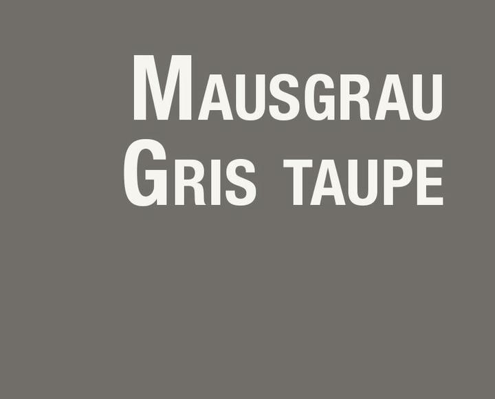 Produktbild Resinence Beton Mineral (Mausgrau)