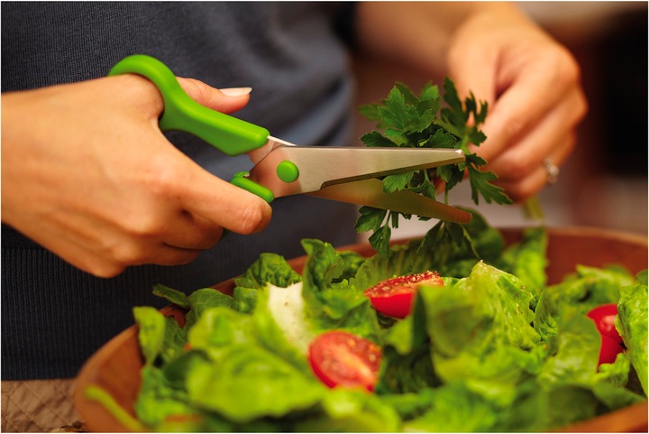 Actual product image Kuhn Rikon Household shears (21 cm)