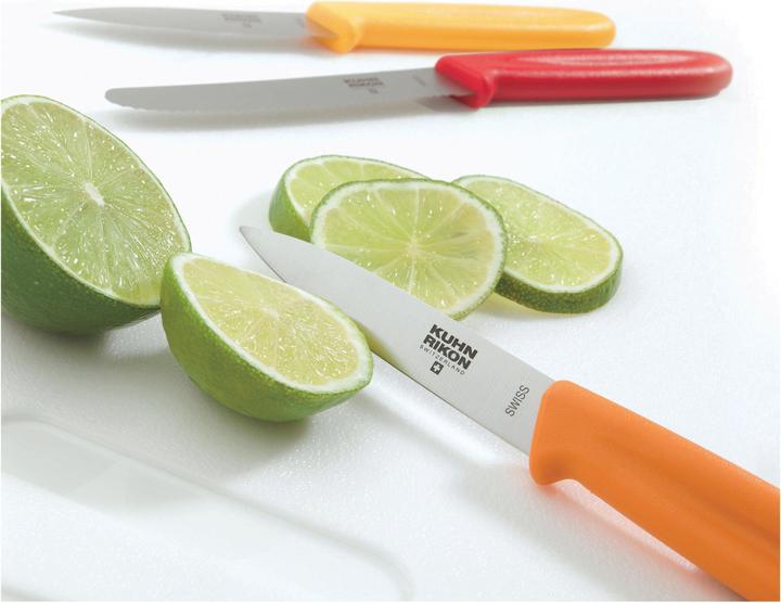 Produktbild Kuhn Rikon Swiss (9.50 cm)