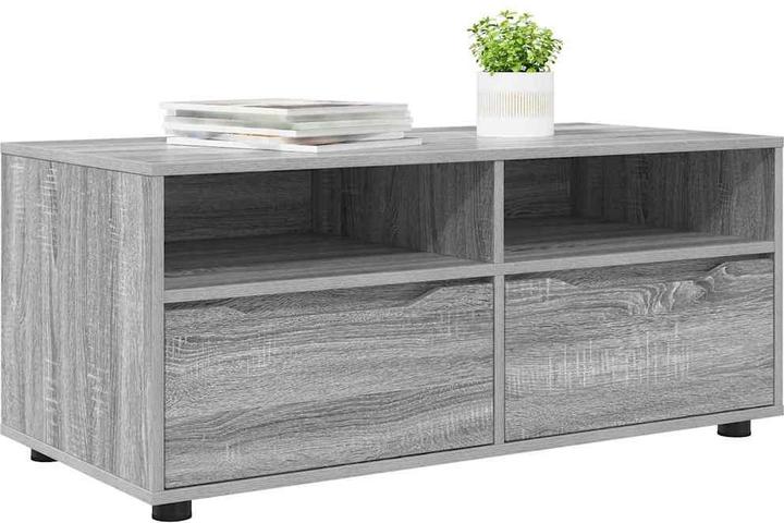 Actual product image vidaXL TV-Schränk (48 x 100 x 43 cm)