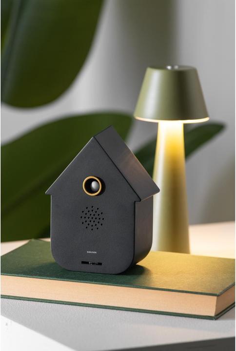 Actual product image Karlsson Sound Box Modern Cuckoo