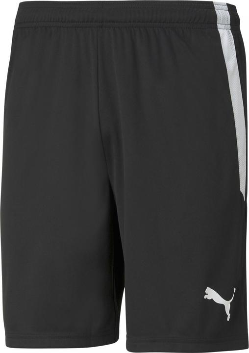 Image du produit Puma Short teamLIGA-704924 (S)