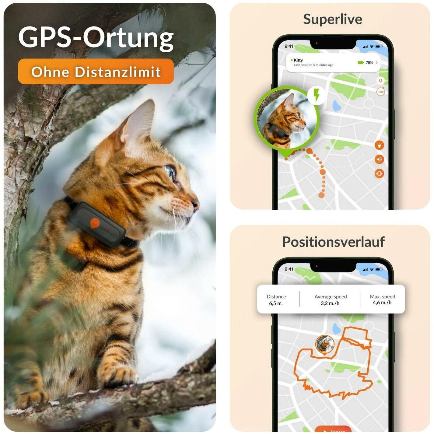 Meilleurs prix pour Sécurité Chat - Weenect GPS noir XS – 60 X 23 X 12 mm
