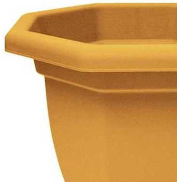 Actual product image Winchester Octagonal Flower Pot