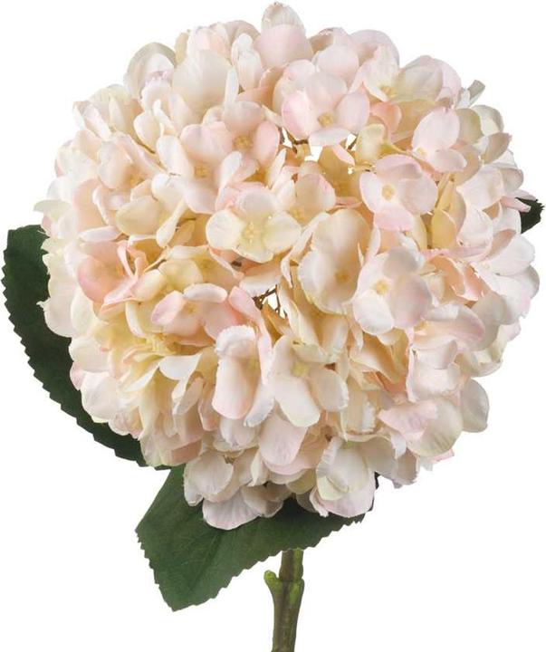 Actual product image Hill Interiors Artificial Flower Hydrangea (42 cm)