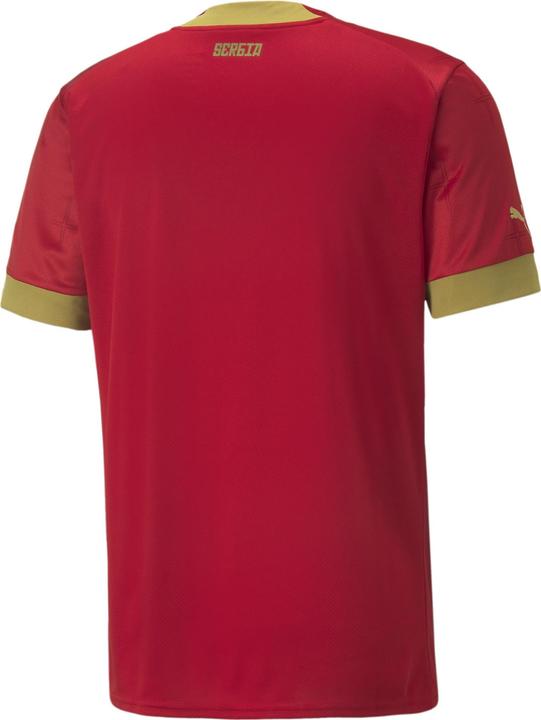 Actual product image Puma FSS Home Jersey Replica (M)