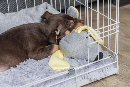 Immagine prodotto Beeztees Gabbia per cuccioli (Cane)