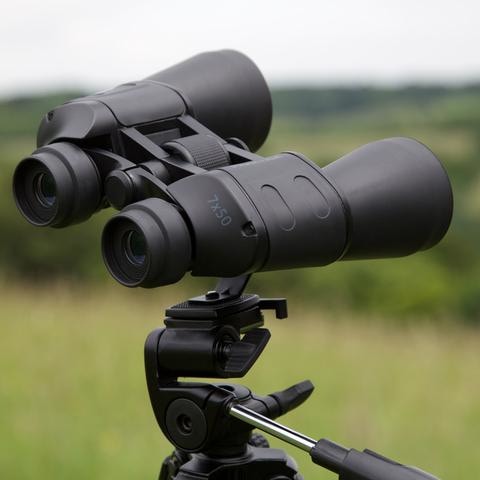 Actual product image Praktica Falcon 10x50 Binoculars (10 x, 50 mm)