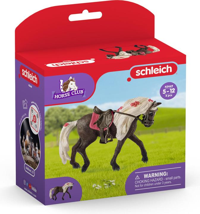 Image du produit Schleich Spectacle équestre Rocky Mountain Mare