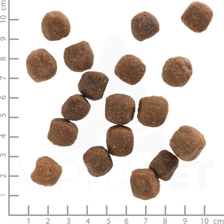 Actual product image Wolfsblut Hundefutter (Adult, 1 pcs., 2000 g)