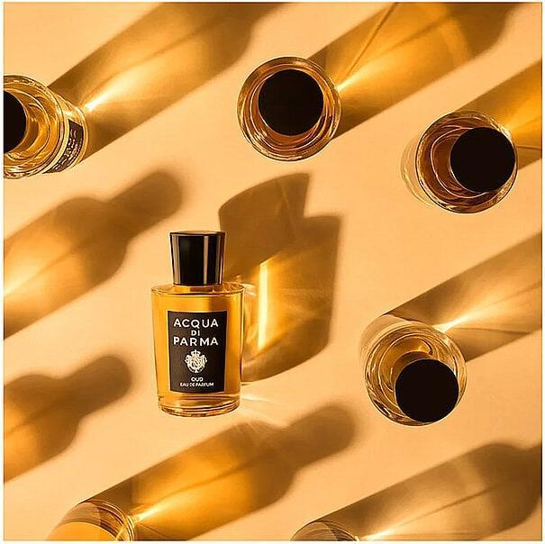 Immagine prodotto Acqua Di Parma Oud & Spice (Eau de parfum, 100 ml)