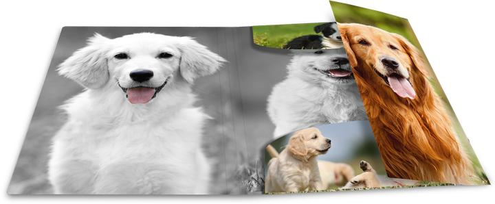 Image du produit HERMA Porte-documents A4 Motif (A4, 1 x)