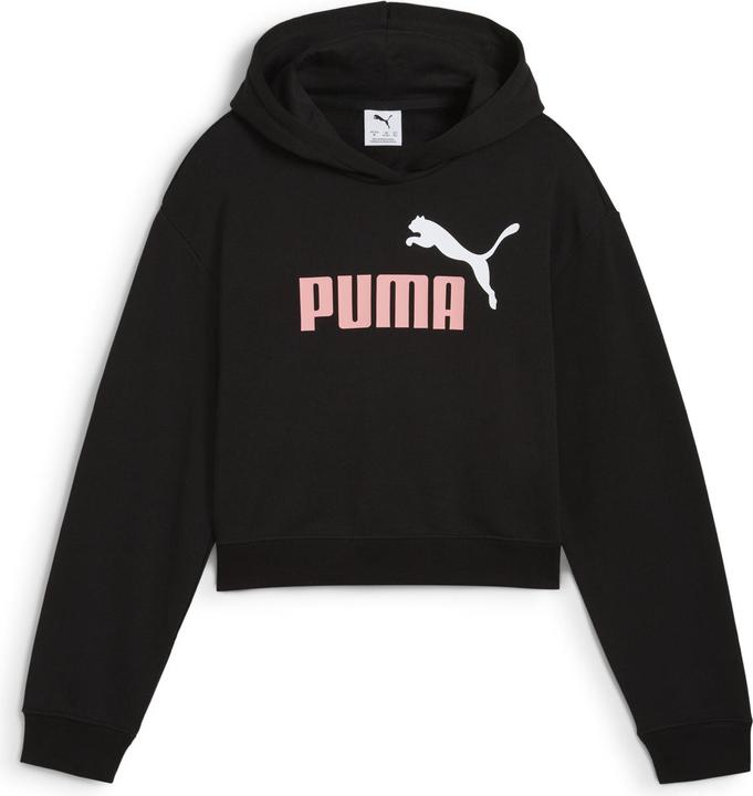 Produktbild Puma ESS 2 COLOR No. 1 Logo​ Short Length Hoodie TR G (116)