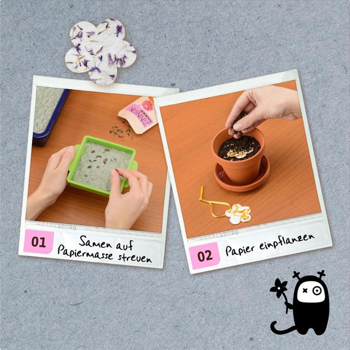 Produktbild Kosmos Blühendes Papier