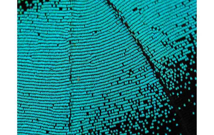 Productafbeelding OM System M.Zuiko Digital ED 90mm F3.5 Macro IS PRO (Micro Vier Derde, Micro Vier Derde)