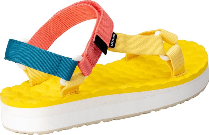 Actual product image Lizard Trail Max (40)