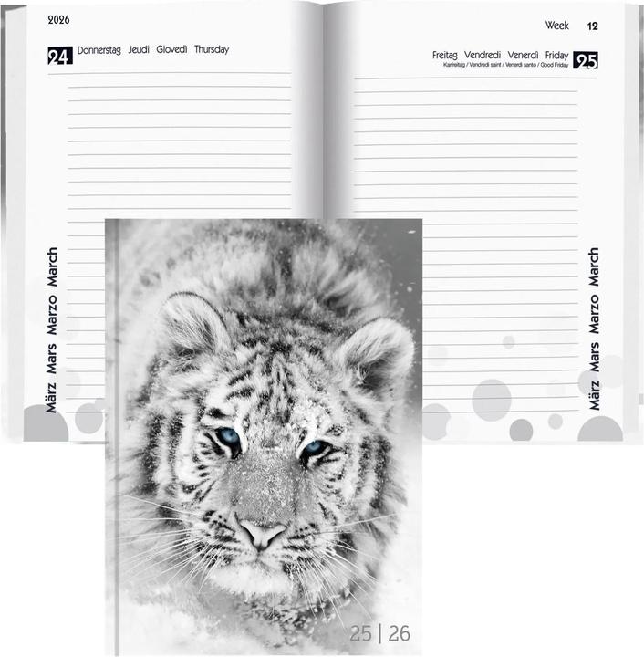Image du produit Biella Schüleragenda mydiary (12 x 16,5 cm, Allemand, Anglais, Italien)