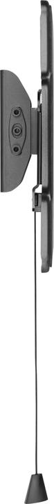 Image du produit Reflecta PLANOLED 65-4020T (Mur, 30 kg, 32" - 65")