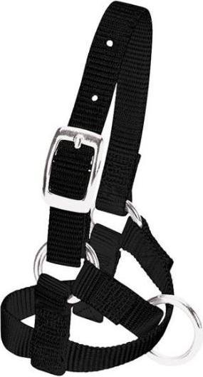 Weaver Livestock Alpaca halter