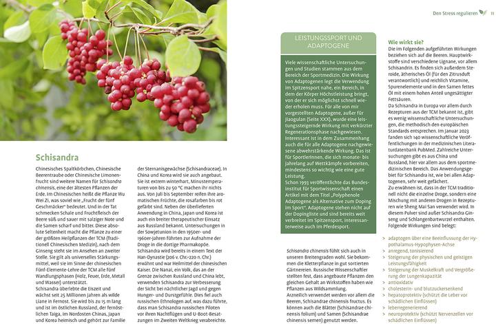 Produktbild Girsch:Mit Naturheilkunde Stress bewält (Deutsch, Michaela Girsch, 2024)