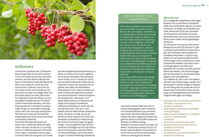 Image du produit Girsch:Mit Naturheilkunde Stress bewält (Allemand, Michaela Girsch, 2024)