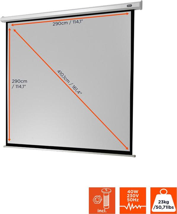 Actual product image Celexon Economy electric screen - screen - ceiling mounting possible, suitable for wall mounting (114.17", 1:1)