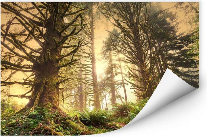 Actual product image Trenddeko Enchanted Forest (100 x 70 cm)