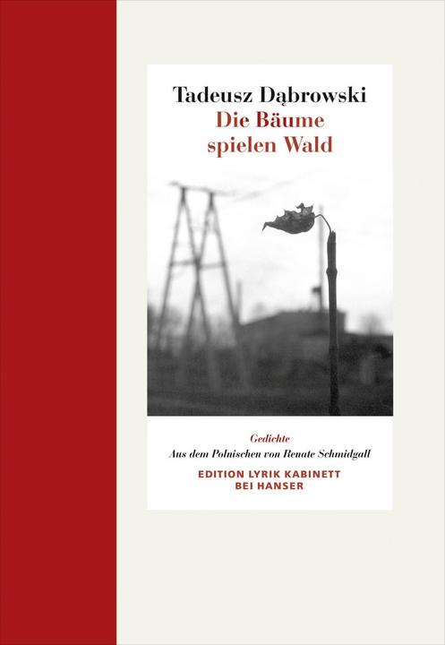 Produktbild Die Bäume spielen Wald (Deutsch, Tadeusz Dabrowski, 2014)