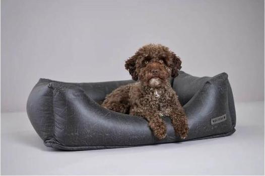 Immagine prodotto Wolters Vintage (Cane)