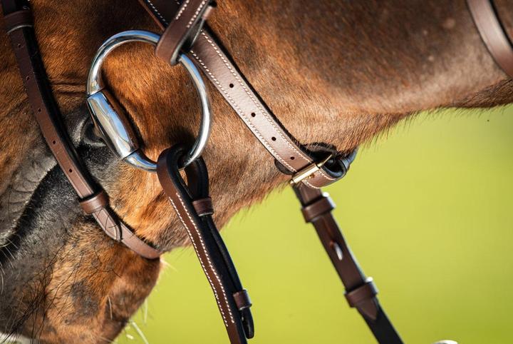 Immagine prodotto HFI Master Anatomic