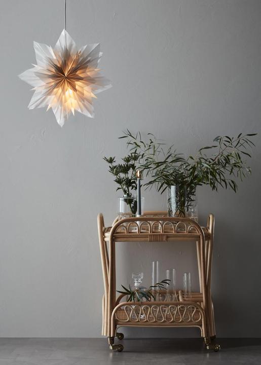 Produktbild Markslöjd Hängestern 'Neela'