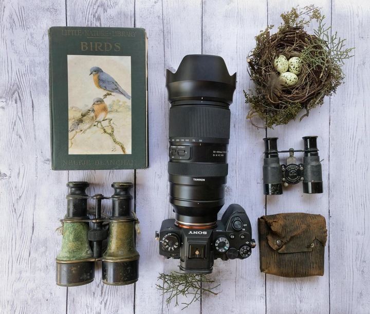 Productafbeelding Tamron AF 50-400mm F/4.5-6.3 Di III VC VXD (Sony E, APS-C / DX, Volledig formaat)
