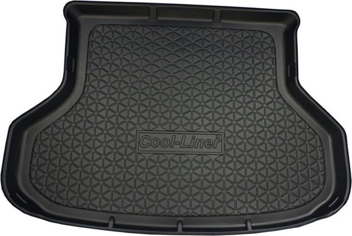 Actual product image ProPlus Trunk tub for Lexus RX from 2003 to 2009