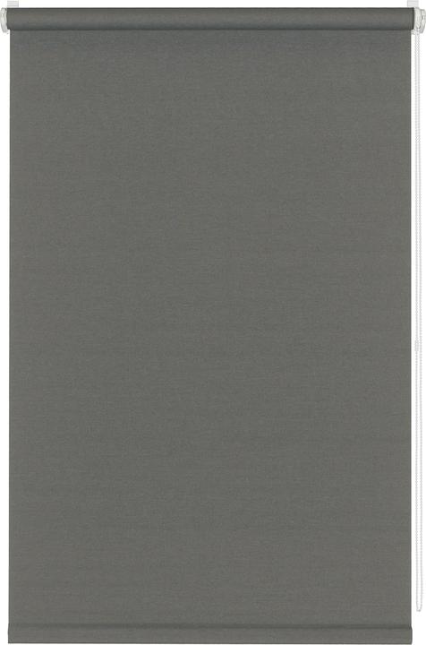 Produktbild Gardinia Rollo (60 x 60 cm)